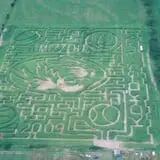 Fun Time Farms Corn MAiZE & Zombie Shootout photo