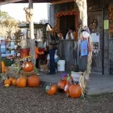Fun Time Farms Corn MAiZE & Zombie Shootout photo