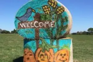 Fun Time Farms Corn MAiZE & Zombie Shootout