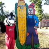 Red Wolf Farm Pumpkin Patch & Corn Maze photo