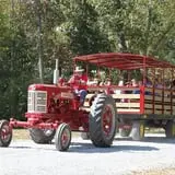 Red Wolf Farm Pumpkin Patch & Corn Maze photo