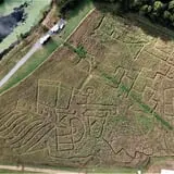 Red Wolf Farm Pumpkin Patch & Corn Maze photo