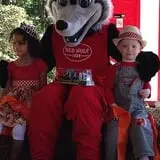 Red Wolf Farm Pumpkin Patch & Corn Maze photo