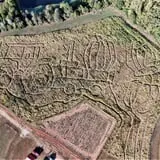 Red Wolf Farm Pumpkin Patch & Corn Maze photo