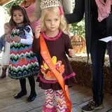 Red Wolf Farm Pumpkin Patch & Corn Maze photo