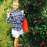 Apple Hills Cafe photo