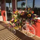 Apple Hills Cafe photo