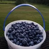 Apple Hills Cafe photo