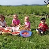Apple Hills Cafe photo