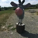 Apple Hills Cafe photo