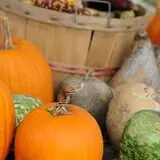 Shreves Pumpkin Patch photo