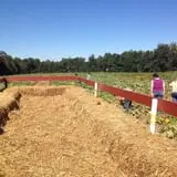 Shreves Pumpkin Patch photo