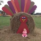 Shreves Pumpkin Patch photo