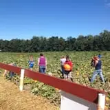 Shreves Pumpkin Patch photo