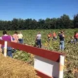 Shreves Pumpkin Patch photo