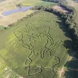 Shreves Pumpkin Patch photo