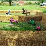 Shreves Pumpkin Patch photo