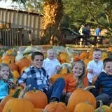 Shreves Pumpkin Patch photo