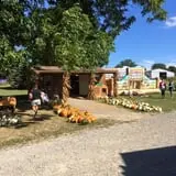 Shreves Pumpkin Patch photo