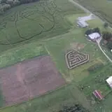 Shreves Pumpkin Patch photo
