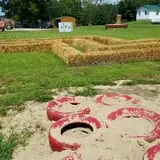 Shreves Pumpkin Patch photo