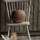 Shreves Pumpkin Patch photo