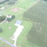 Shreves Pumpkin Patch photo
