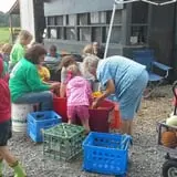 Shreves Pumpkin Patch photo