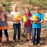 Shreves Pumpkin Patch photo