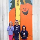 Shreves Pumpkin Patch photo