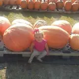 Shreves Pumpkin Patch photo
