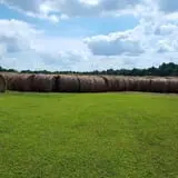 Shreves Pumpkin Patch photo