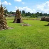 Shreves Pumpkin Patch photo