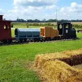 Shreves Pumpkin Patch photo