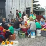 Shreves Pumpkin Patch photo
