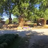 Shreves Pumpkin Patch photo
