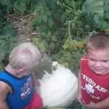 Shreves Pumpkin Patch photo