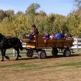 Buffalo River Pumpkin Patch photo