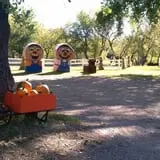 Buffalo River Pumpkin Patch photo