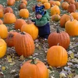 Buffalo River Pumpkin Patch photo