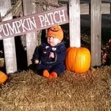 Buffalo River Pumpkin Patch photo