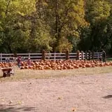 Buffalo River Pumpkin Patch photo