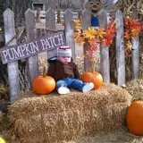 Buffalo River Pumpkin Patch photo