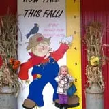 Buffalo River Pumpkin Patch photo