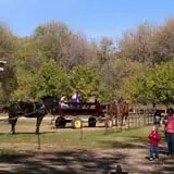 Buffalo River Pumpkin Patch photo