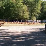 Buffalo River Pumpkin Patch photo