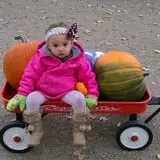 Buffalo River Pumpkin Patch photo