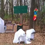 Buffalo River Pumpkin Patch photo