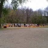 Buffalo River Pumpkin Patch photo