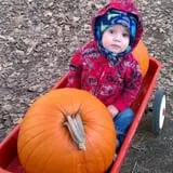 Buffalo River Pumpkin Patch photo